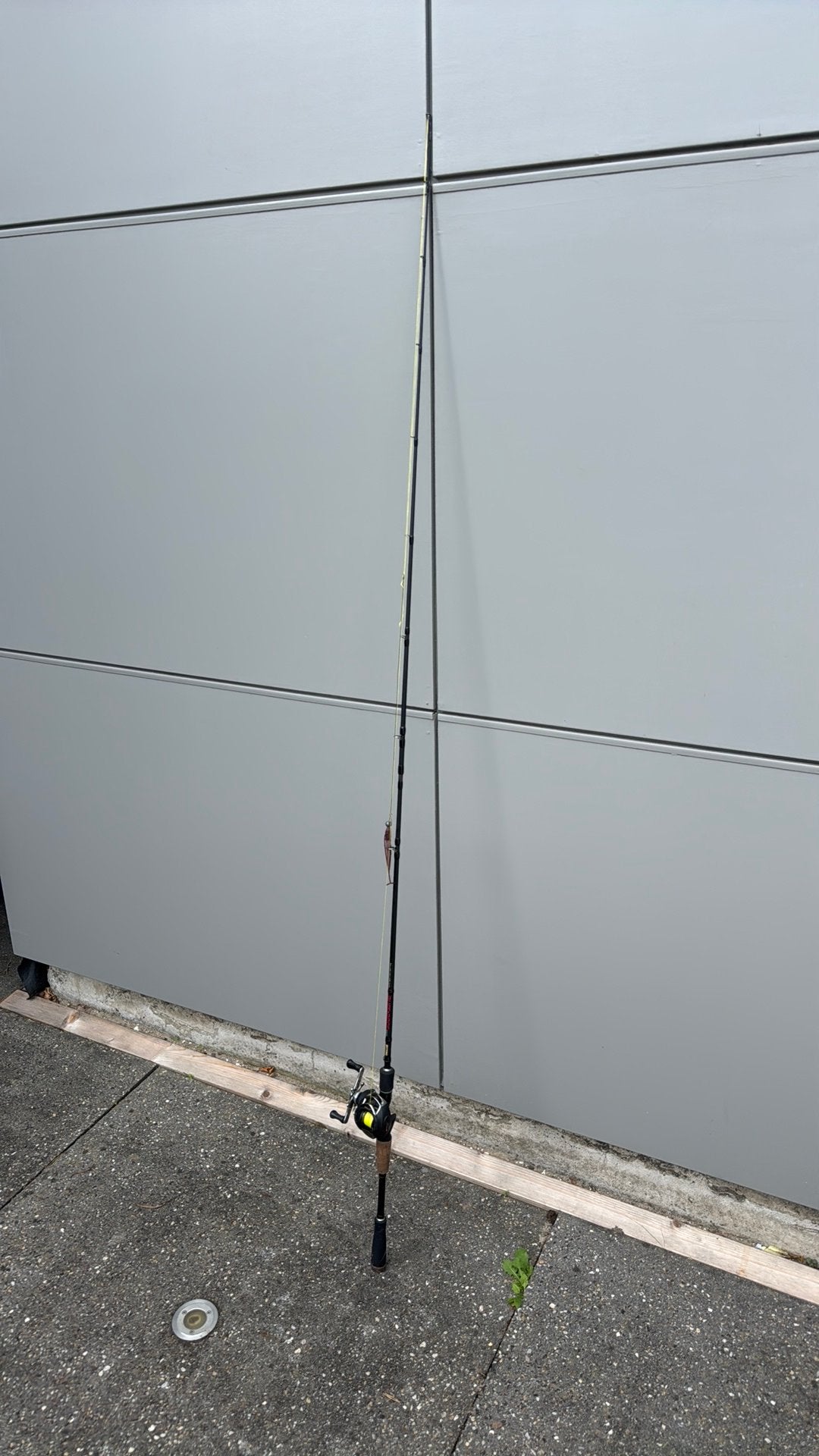 Reel hengel, Watersport en Boten, Ophalen, Gebruikt, Werphengel