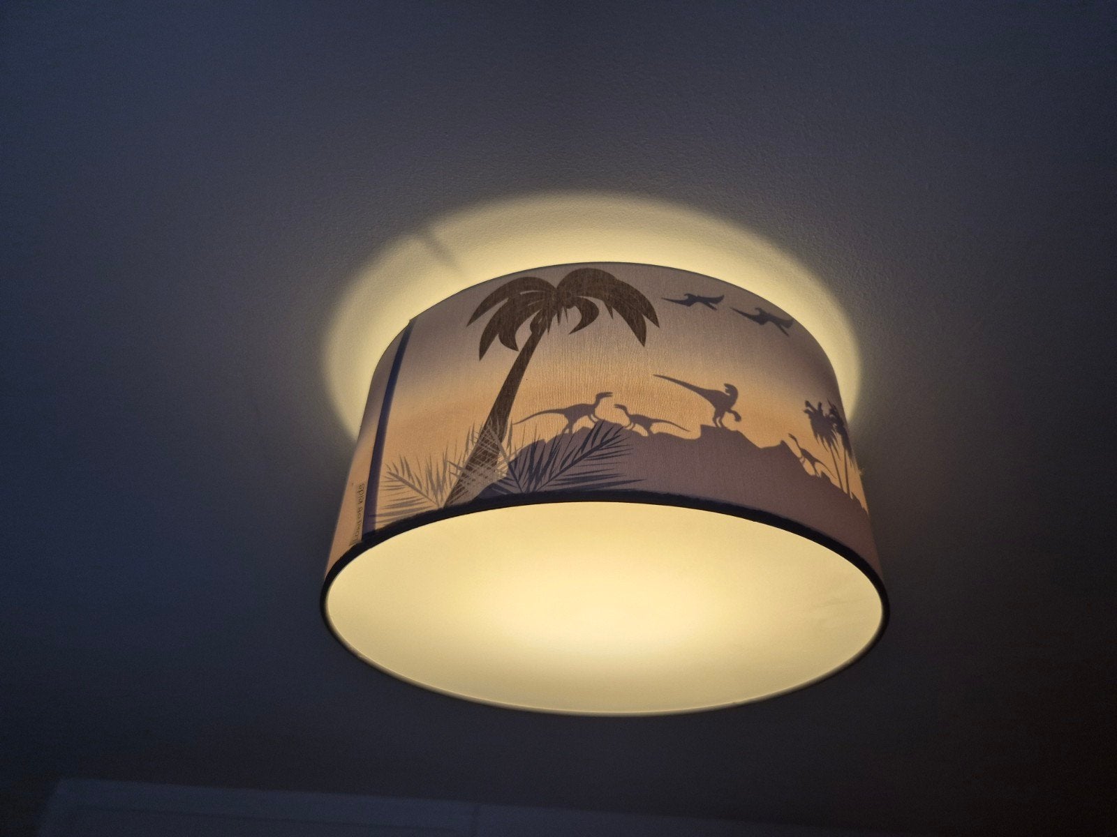 Lamp plafondlamp, Ophalen, Zo goed als nieuw