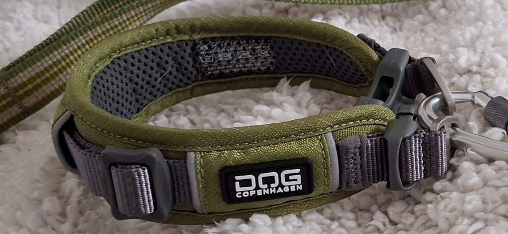 Dog Copenhagen Urban Explorer Halsband, XS 28-34cm, 3cm, Dieren en Toebehoren, Ophalen of Verzenden, Zo goed als nieuw