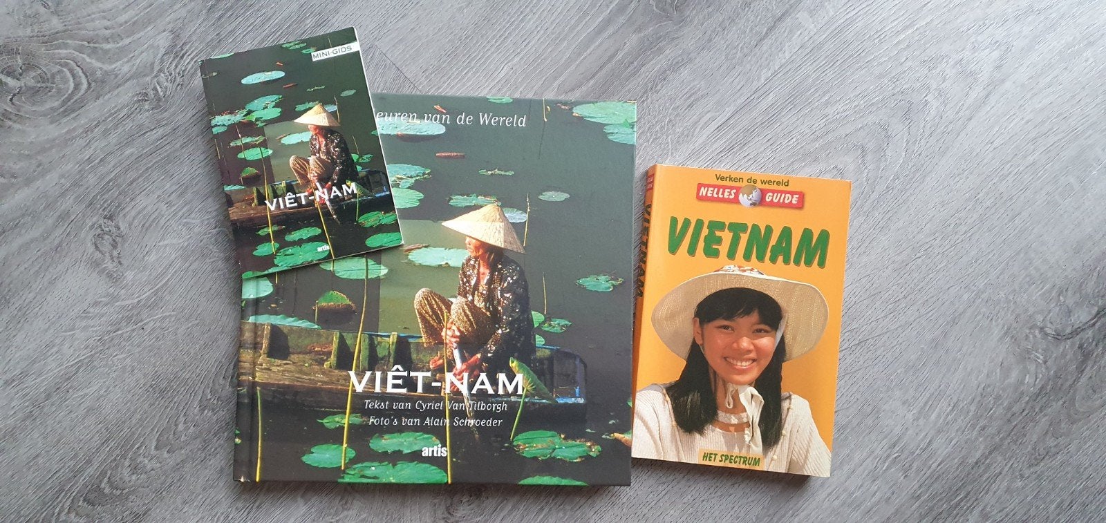 Reisgidsen Vietnam: Ontdek de schoonheid van Vietnam, Boeken, Overige merken, Ophalen of Verzenden, Zo goed als nieuw, Reisgids of -boek