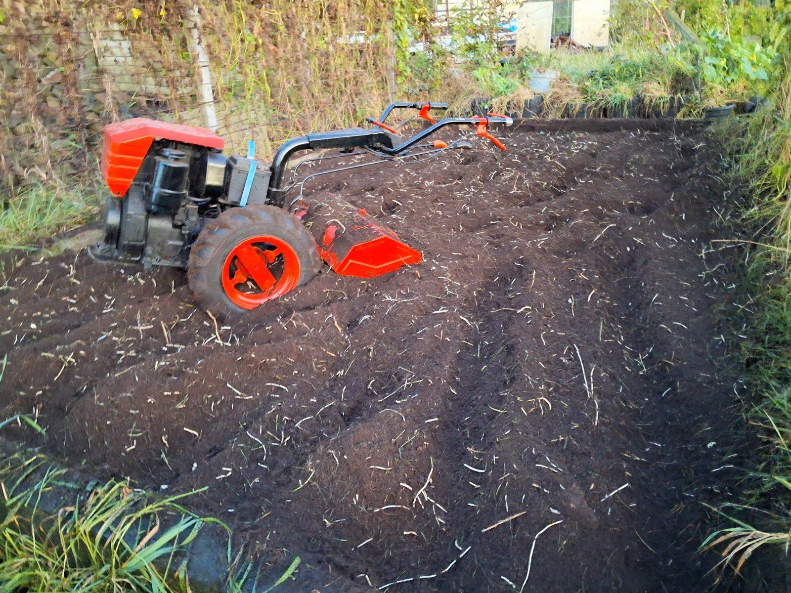 Te huur diesel tuinfrees, Ophalen of Verzenden