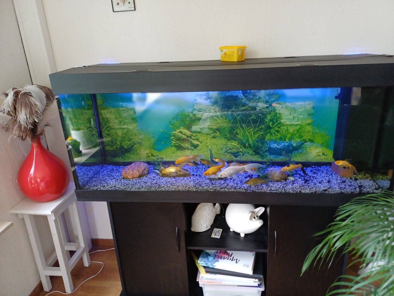 Te koop, Vis
