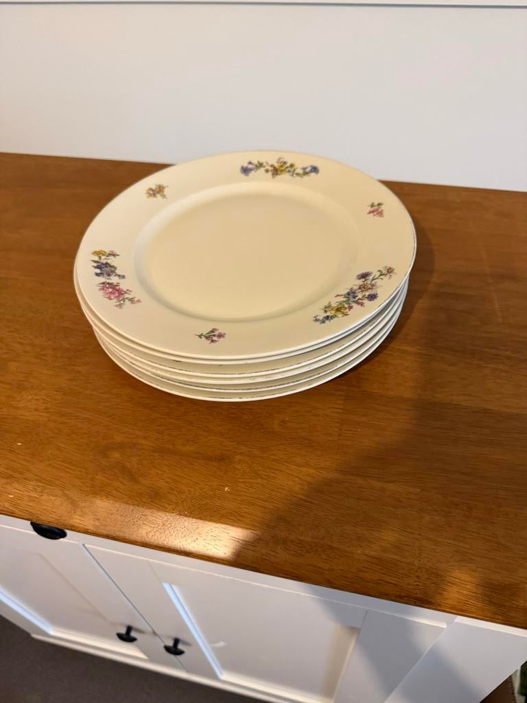 Prachtig Rosenthal servies Aida - Compleet en elegant, Ophalen, Zo goed als nieuw, Overige stijlen, Porselein