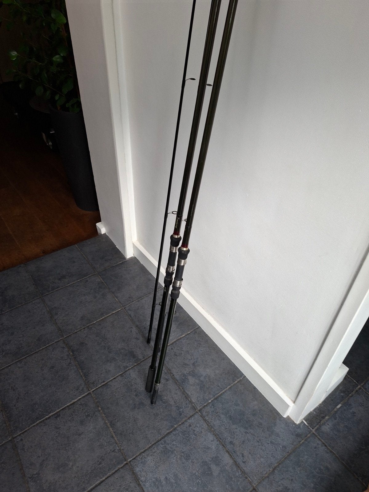 13 ft 2.3/4 karperhengels, Sportex/Boron blanks, vissen of.., Ophalen, Werphengel
