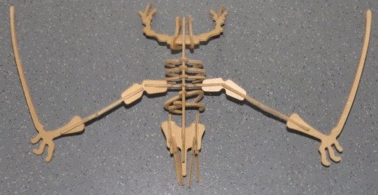 Houten 3D Puzzel Dinosaurus Skelet, Ophalen of Verzenden, Zo goed als nieuw, Bouwen