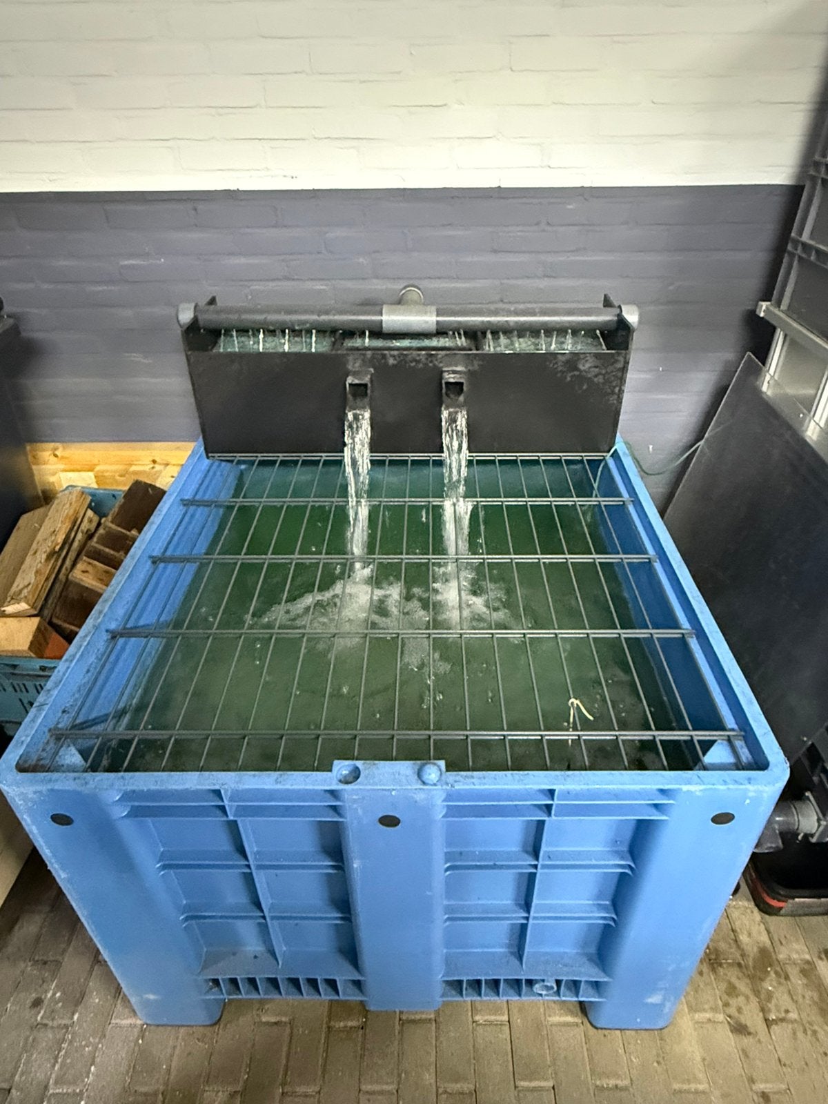 Quarantaine bak met filter en pom., Ophalen, Zo goed als nieuw, Vijverfilter