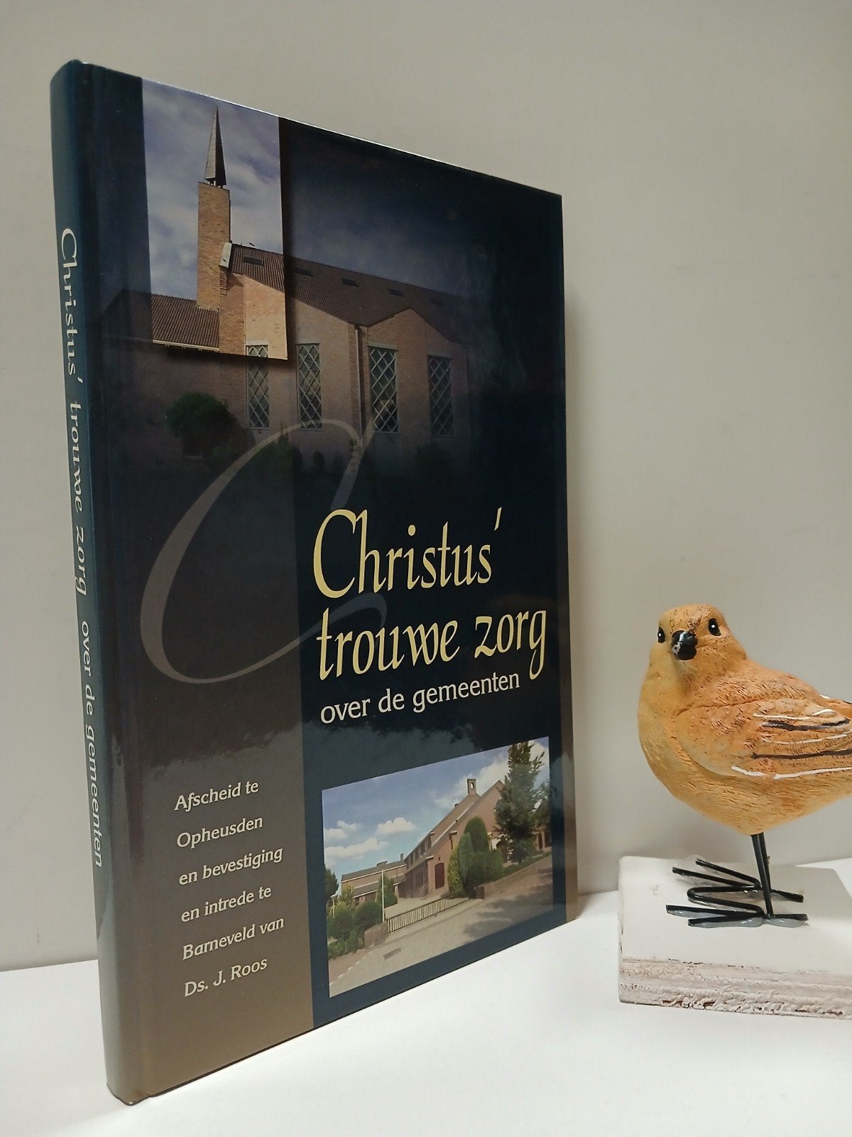 Roos, Ds. J.; Christus’ trouwe zorg, Ophalen of Verzenden, Gelezen, Christendom | Protestants