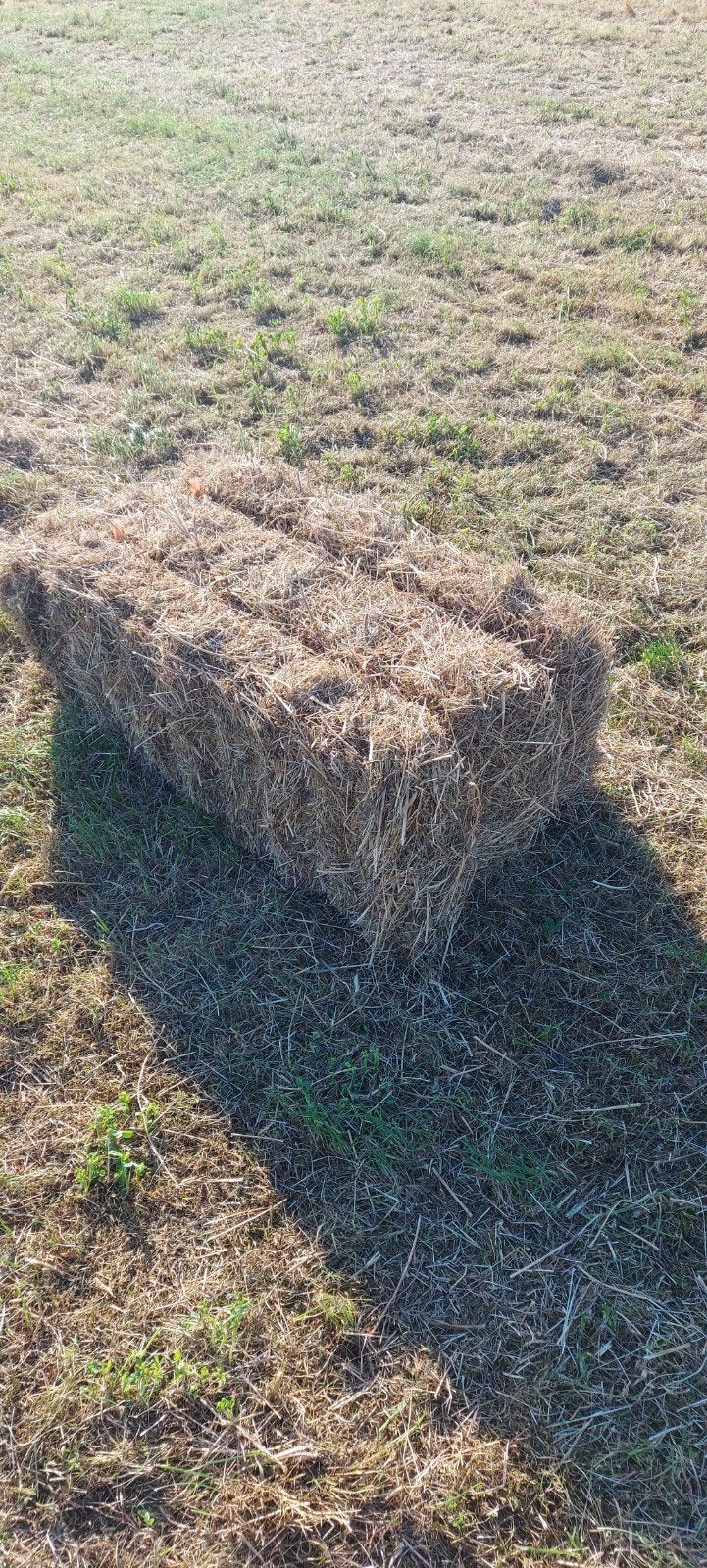 Kleine hooibaaltjes, Ophalen of Verzenden, Vee