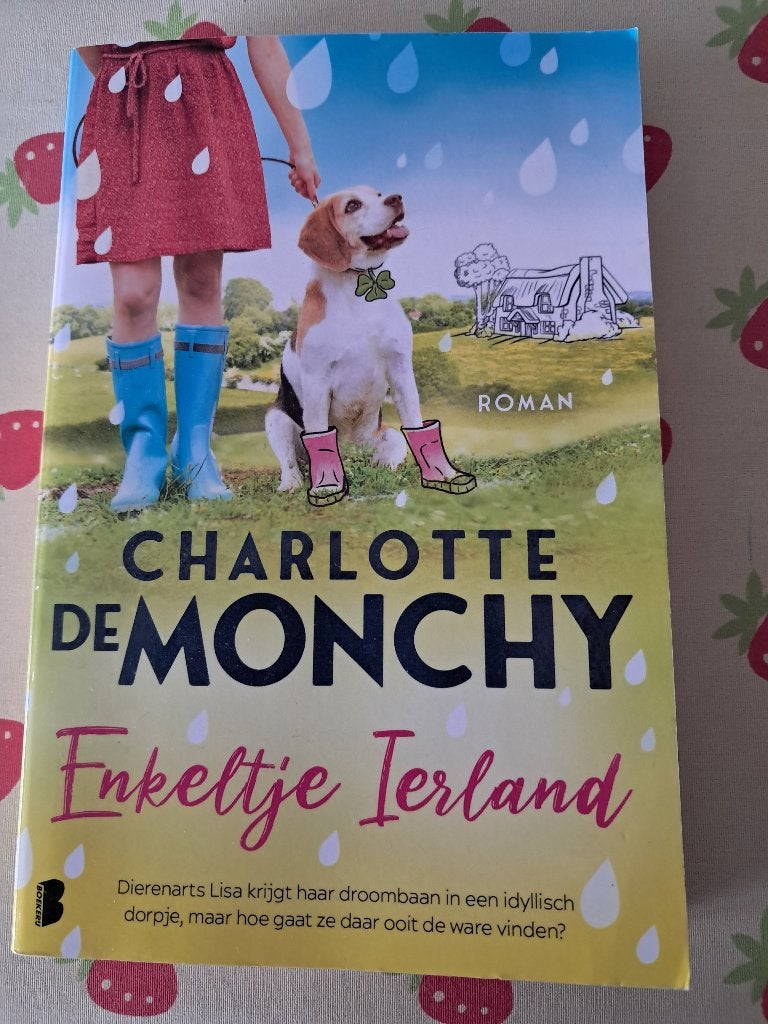 Enkeltje Ierland Charlotte de Monchy, Boeken, Ophalen of Verzenden, Zo goed als nieuw, Charlotte de Monchy