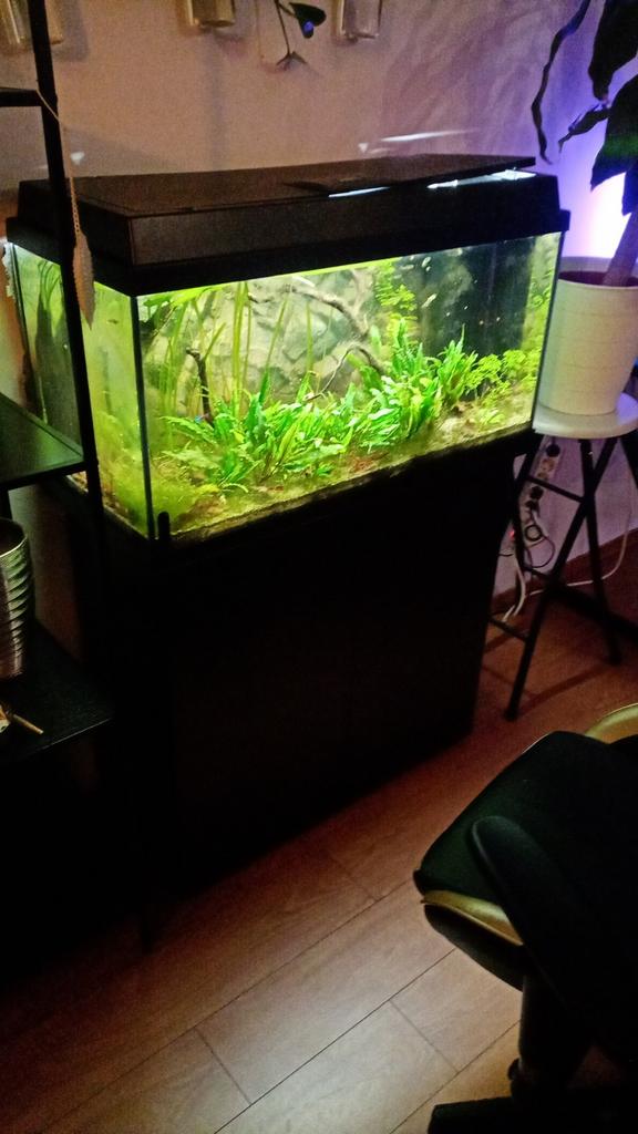 Juwel primo 80cm, Ophalen, Gebruikt, Leeg aquarium