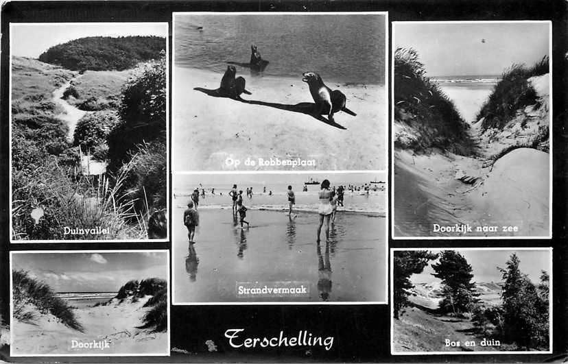 377-346-023 Terschelling Multiview, Verzamelen, Verzenden, Voor 1920, Friesland
