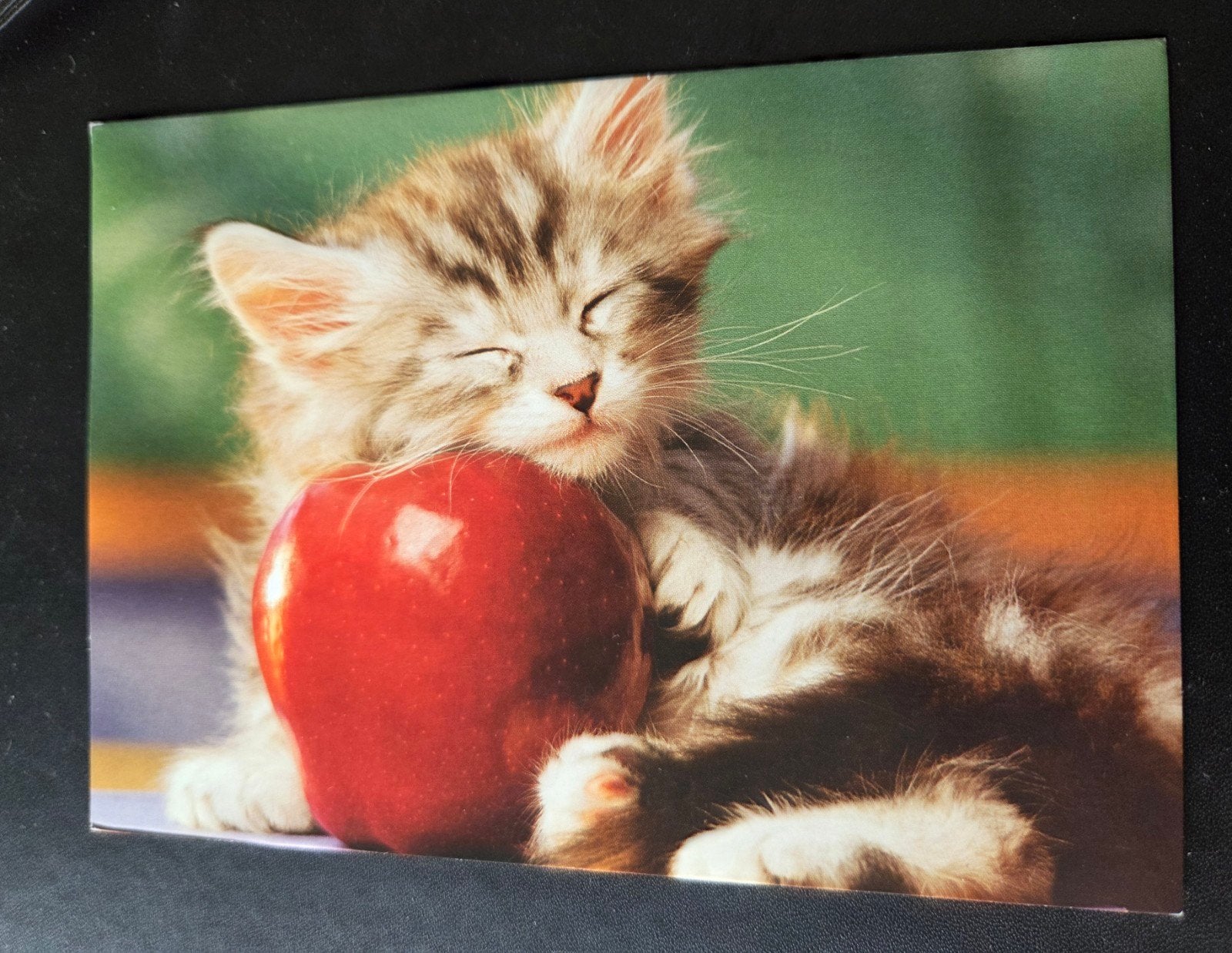 Schattige Katten Ansichtkaart - Slapend Kitten met Appel, Verzenden, 1980 tot heden, Ongelopen, Hond of Kat