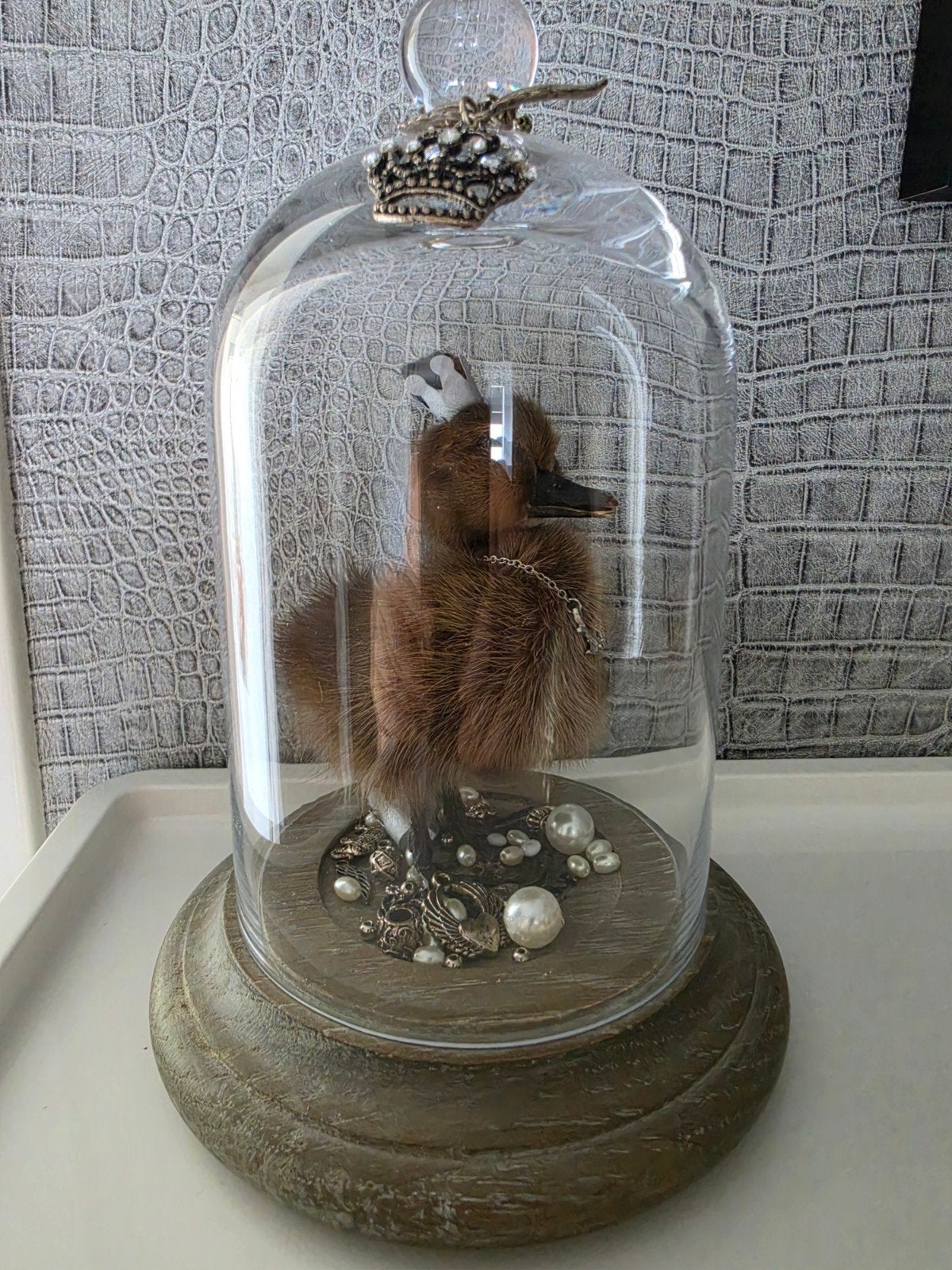 Opgezet eendje taxidermie in glazen stolp met kroon, Ophalen of Verzenden, Nieuw, Boerderijdier, Opgezet dier