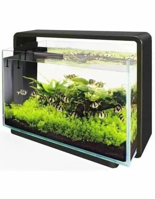 Superfish home 85, Ophalen, Zo goed als nieuw, Leeg aquarium