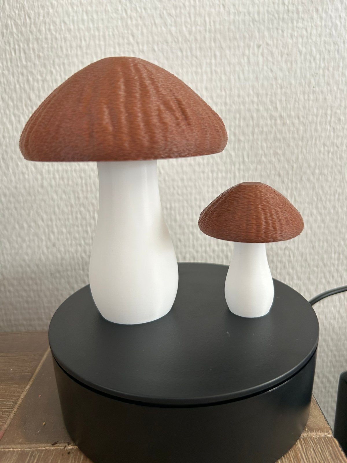 setje paddenstoelen, Ophalen of Verzenden, Nieuw