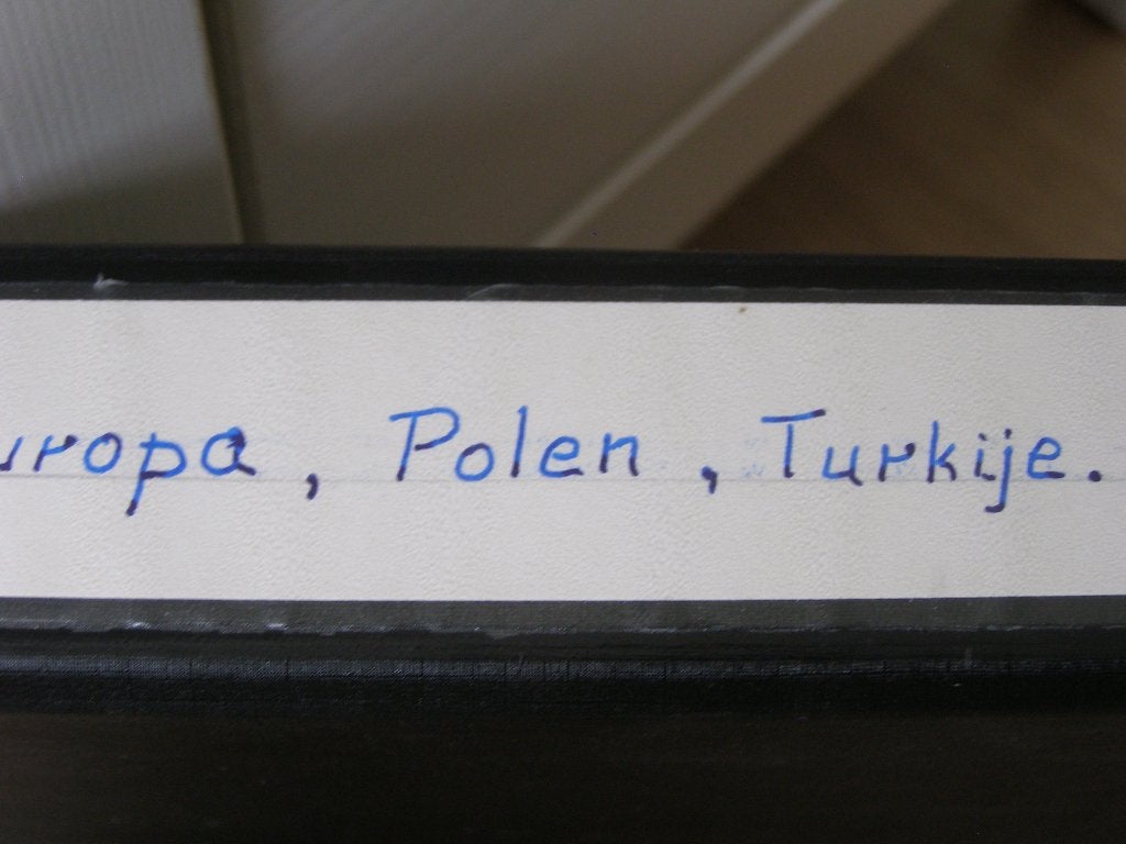 Europa : Polen en Turkije, Ophalen of Verzenden, Polen, Losse munt