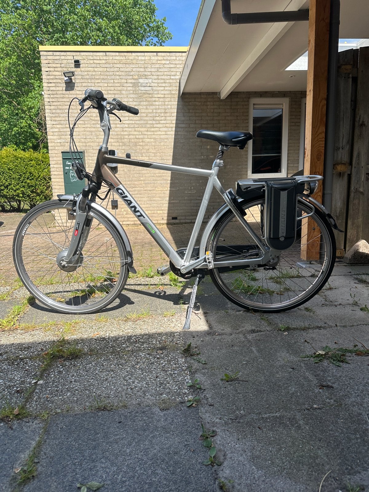 Giant Twist Go Double Power E-bike, Ophalen, Giant, Zo goed als nieuw, 55 tot 59 cm