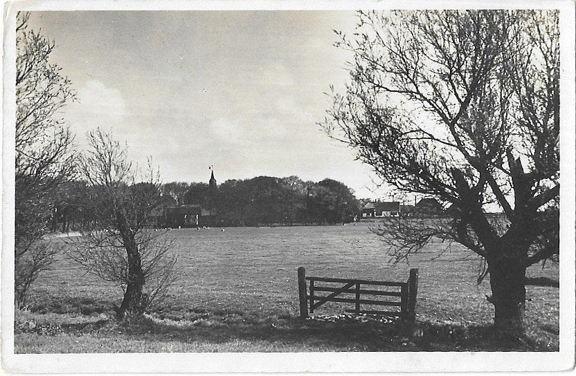 AK Texel, De Waal - Panorama, Ophalen of Verzenden, 1940 tot 1960, Gelopen, Waddeneilanden