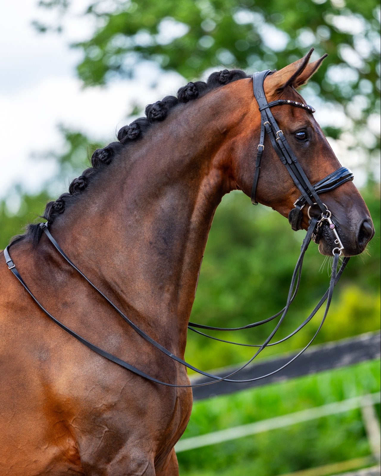 ‼️te koop | 8-jarige KWPN dressuurruin | Z1-geklasseerd‼️, Dieren en Toebehoren, Paarden, Ruin, Dressuurpaard