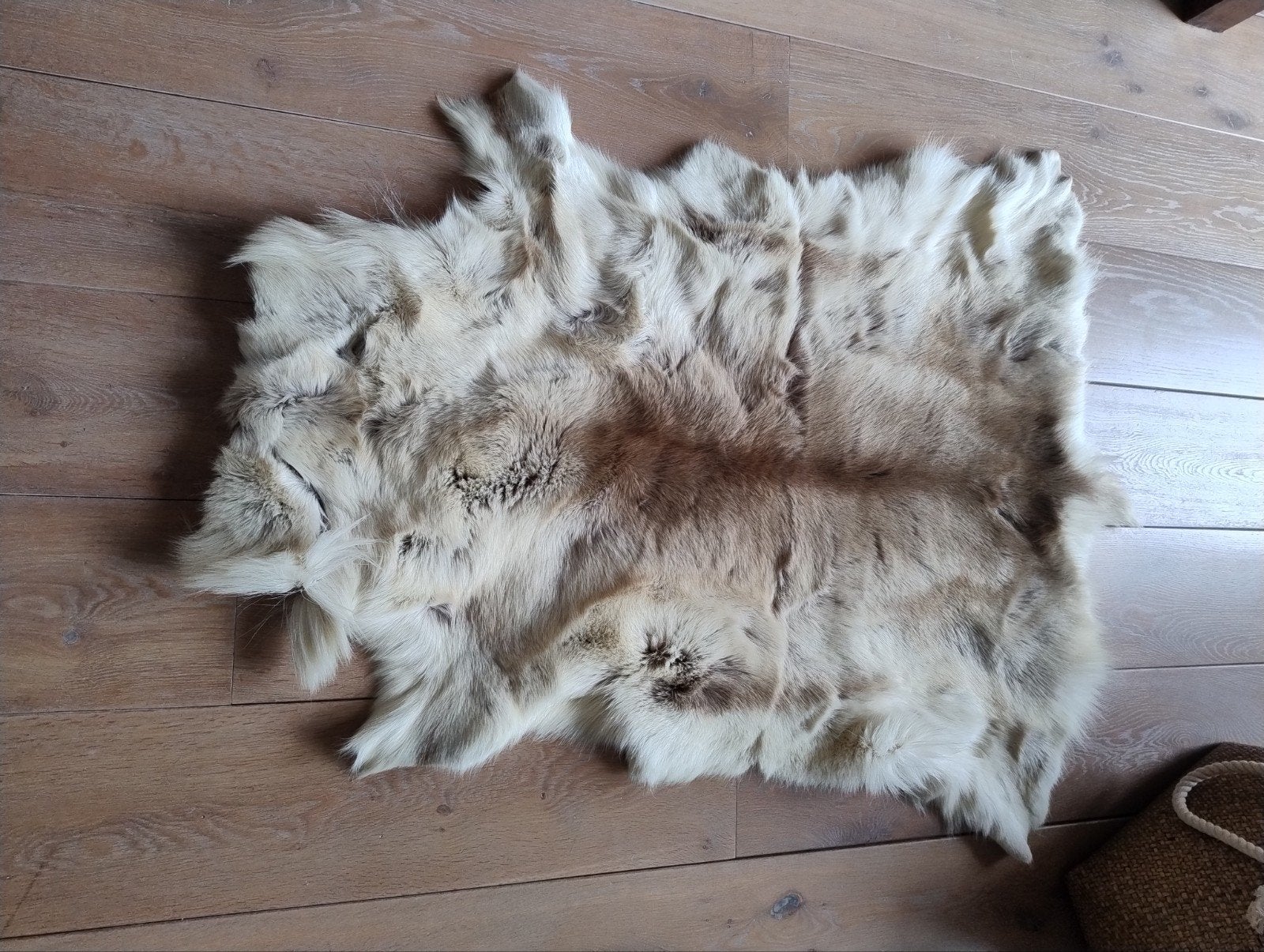 vacht Eland, Ophalen of Verzenden, Overige typen