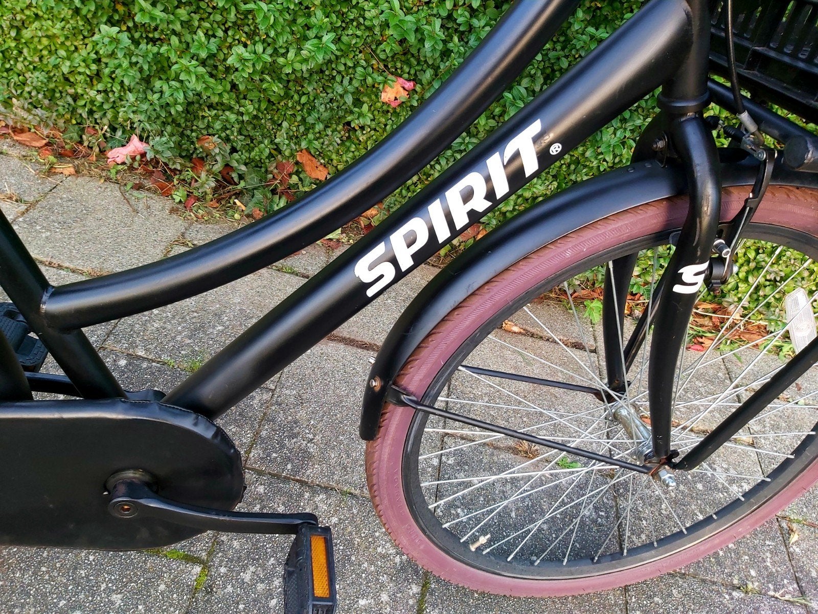 SPIRIT CARGO meisjesfiets 26 inch, Terugtraprem, SPIRIT CARGO MEIDENFIETS 26 INCH, Ophalen, 26 inch of meer