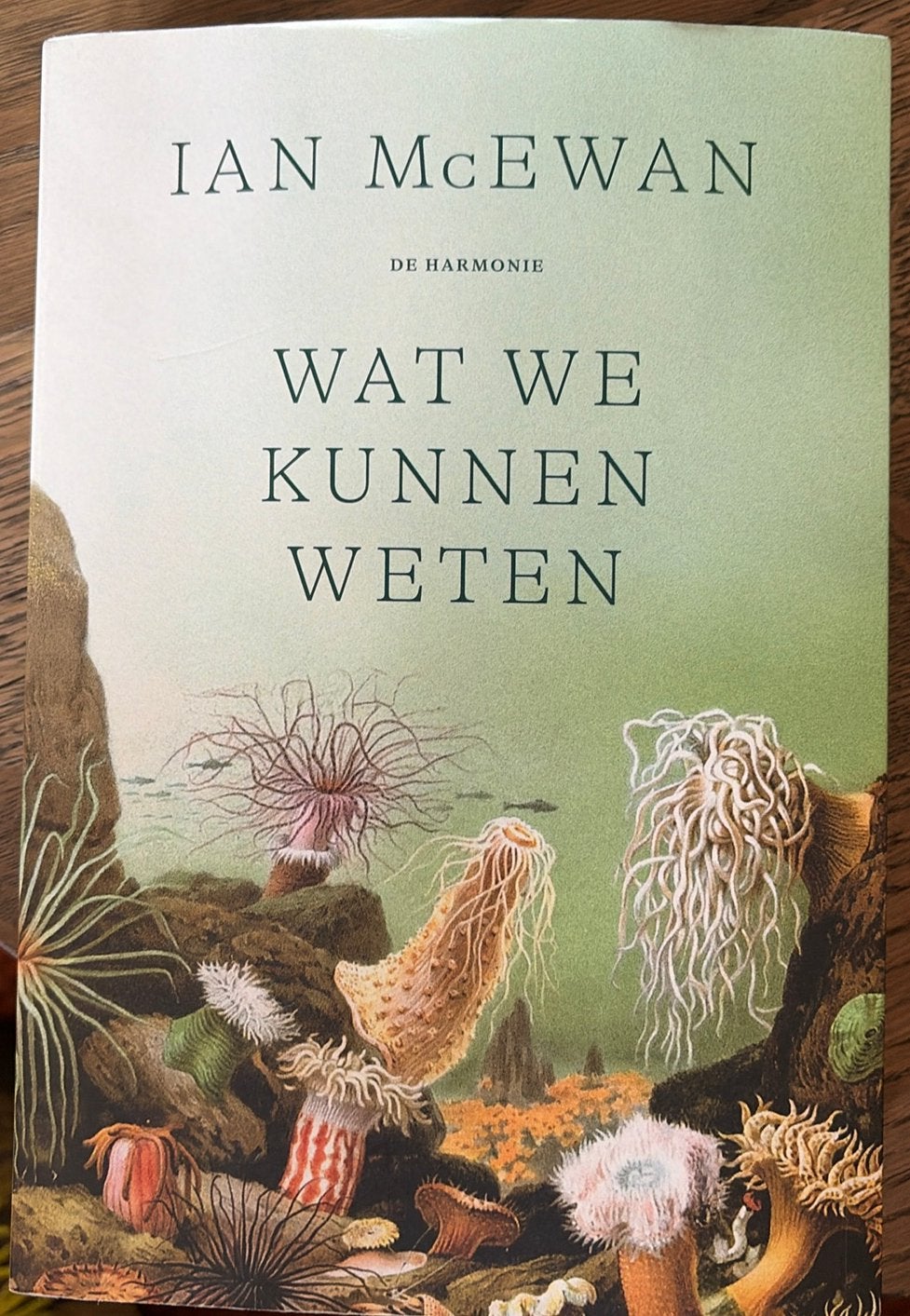 Ian McEwan - Wat We Kunnen Weten, Boeken, Ophalen of Verzenden, Zo goed als nieuw, Nederland