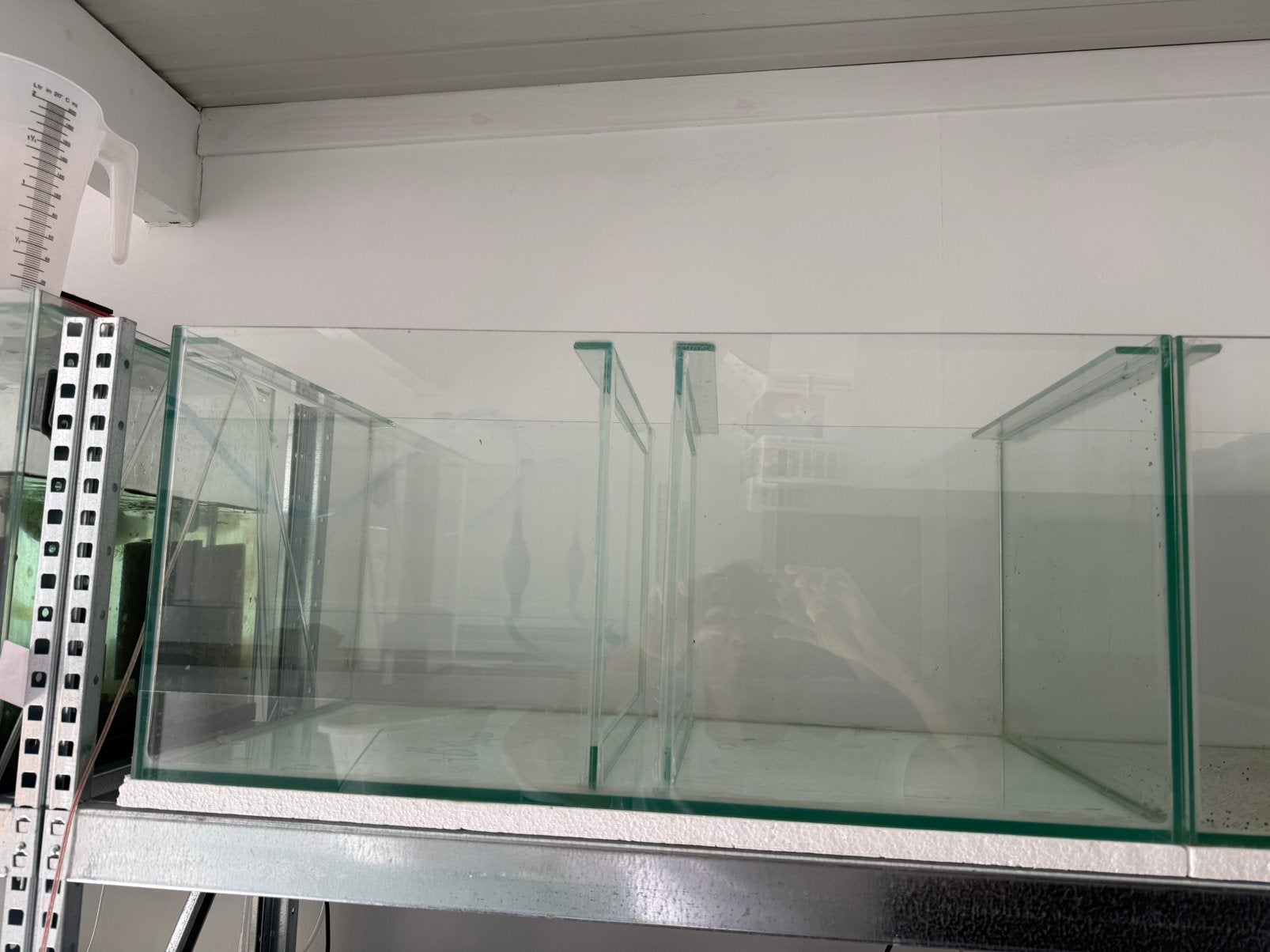 Garnalen bakken! Aquariums!, Ophalen of Verzenden, Zo goed als nieuw, Overige typen