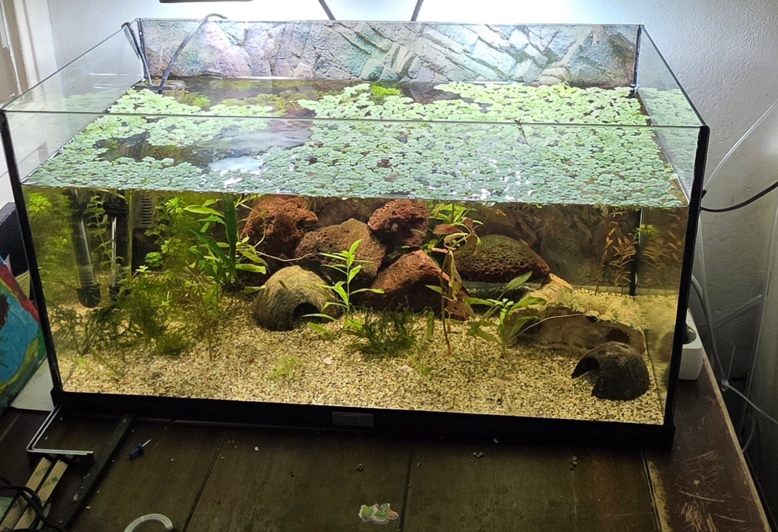 Jewel Aquarium 60Liter 60cm, Dieren en Toebehoren, Ophalen of Verzenden, Zo goed als nieuw, Leeg aquarium, Juwel