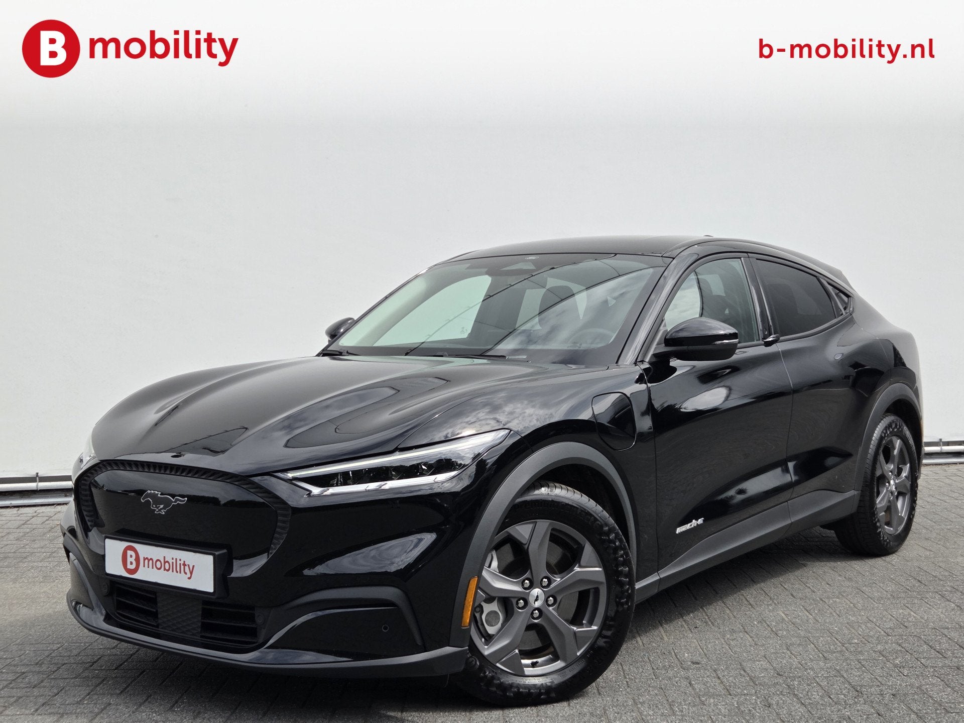 Ford Mustang Mach-E RWD 75 kWh SOH 98% Adaptive Cruise Contr, Gebruikt, 40 min, Zwart, 1944 kg