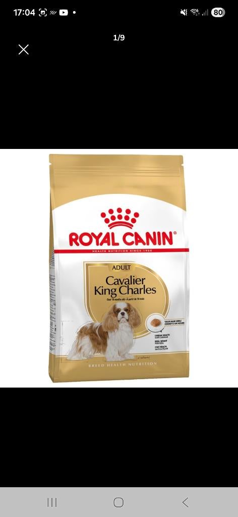 Hondenbrokken, Ophalen, Hond