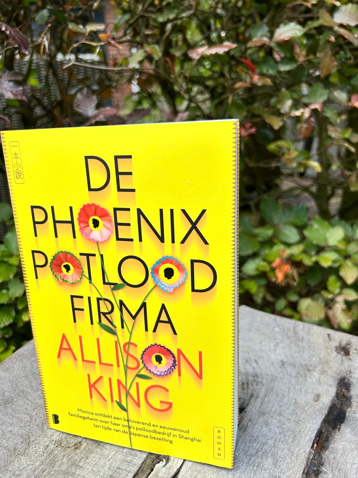De Phoenix potlood firma | Allison King, Ophalen of Verzenden, Zo goed als nieuw