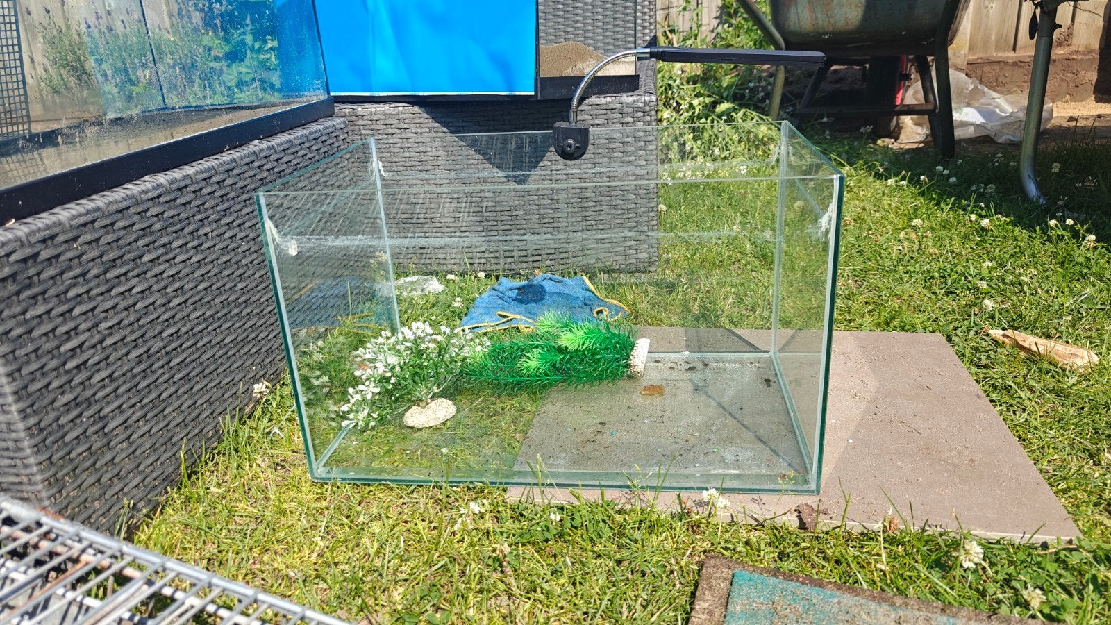 aquarium te koop, Dieren en Toebehoren, Vissen | Aquaria en Toebehoren, Ophalen, Leeg aquarium