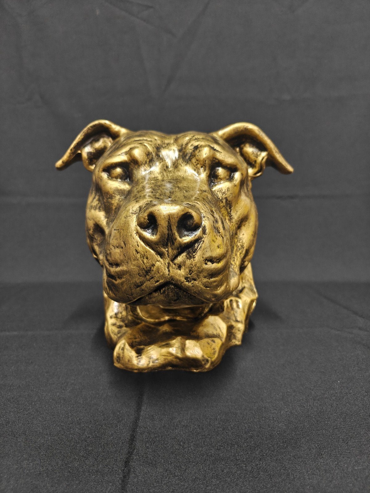 Pitbull kop brons gekleurd, DE LAATSTE, Stafford, Pitbull Ur, Ophalen of Verzenden, Nieuw, Dier