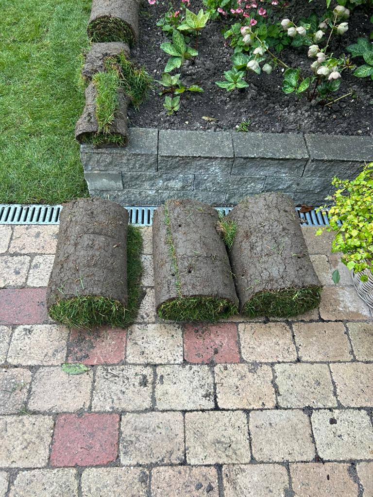 Gratis graszode, Tuin en Terras, Gras en Kunstgras, Ophalen, Zo goed als nieuw, Minder dan 10 m²