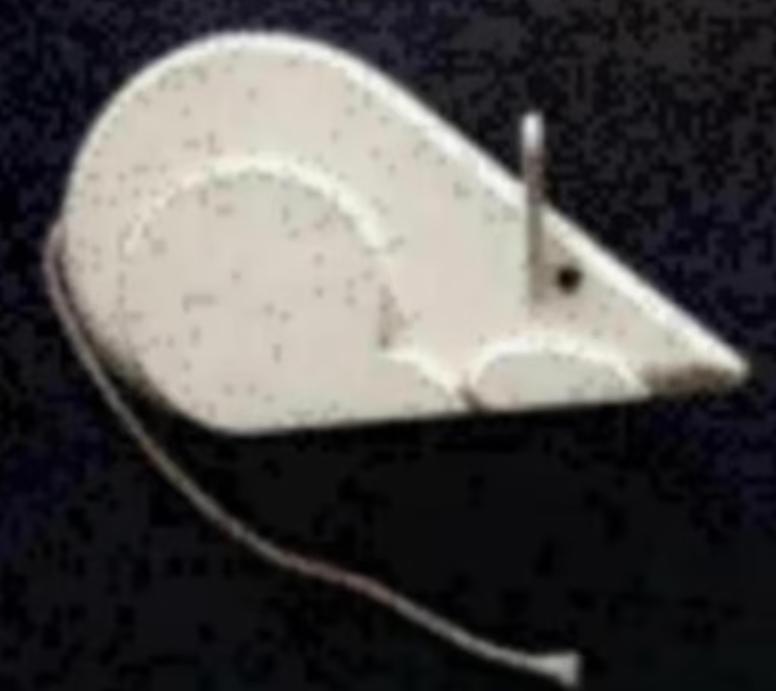 Beeldje muis; witte houten muis; muisje, Ophalen of Verzenden, Zo goed als nieuw, Dier