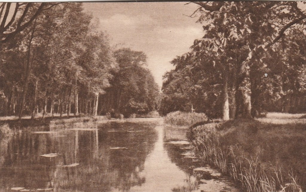 bergen- de mosselenvijver 1928, Ophalen of Verzenden, 1920 tot 1940, Noord-Holland