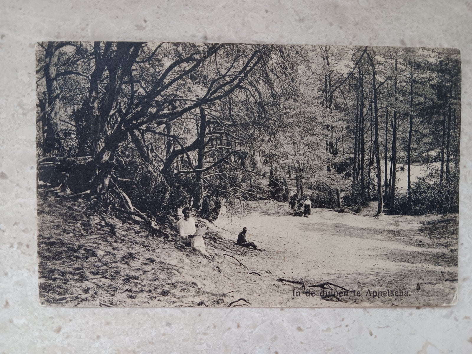 Appelscha In de Duinen, Verzenden, Voor 1920, Gelopen, Friesland