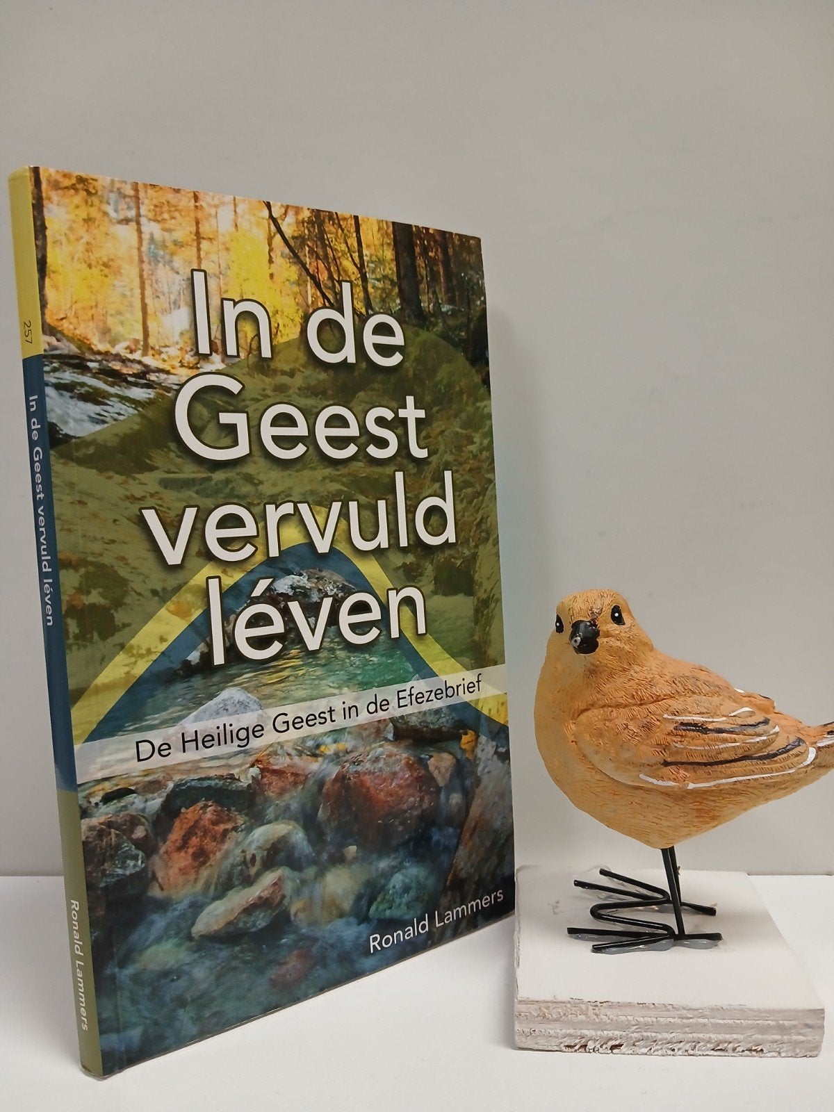 Lammers, Ronald; In de Geest vervuld leven, Boeken, Ophalen of Verzenden, Gelezen, Christendom | Protestants