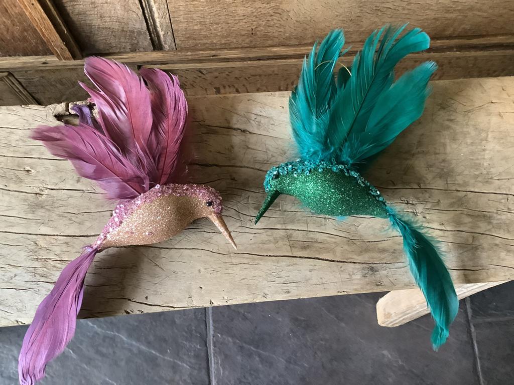 NIEUW set kolibrie vogel hangers met echte veren, Ophalen of Verzenden, Nieuw