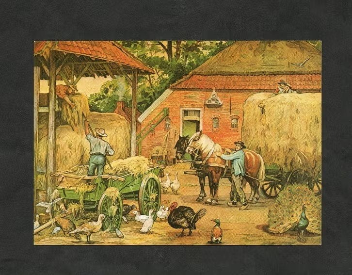 Ansichtkaart Schoolplaat Op de Boerderij Hooien, Jetses (2)., Verzamelen, Ophalen of Verzenden, 1980 tot heden, Ongelopen, Politiek en Historie