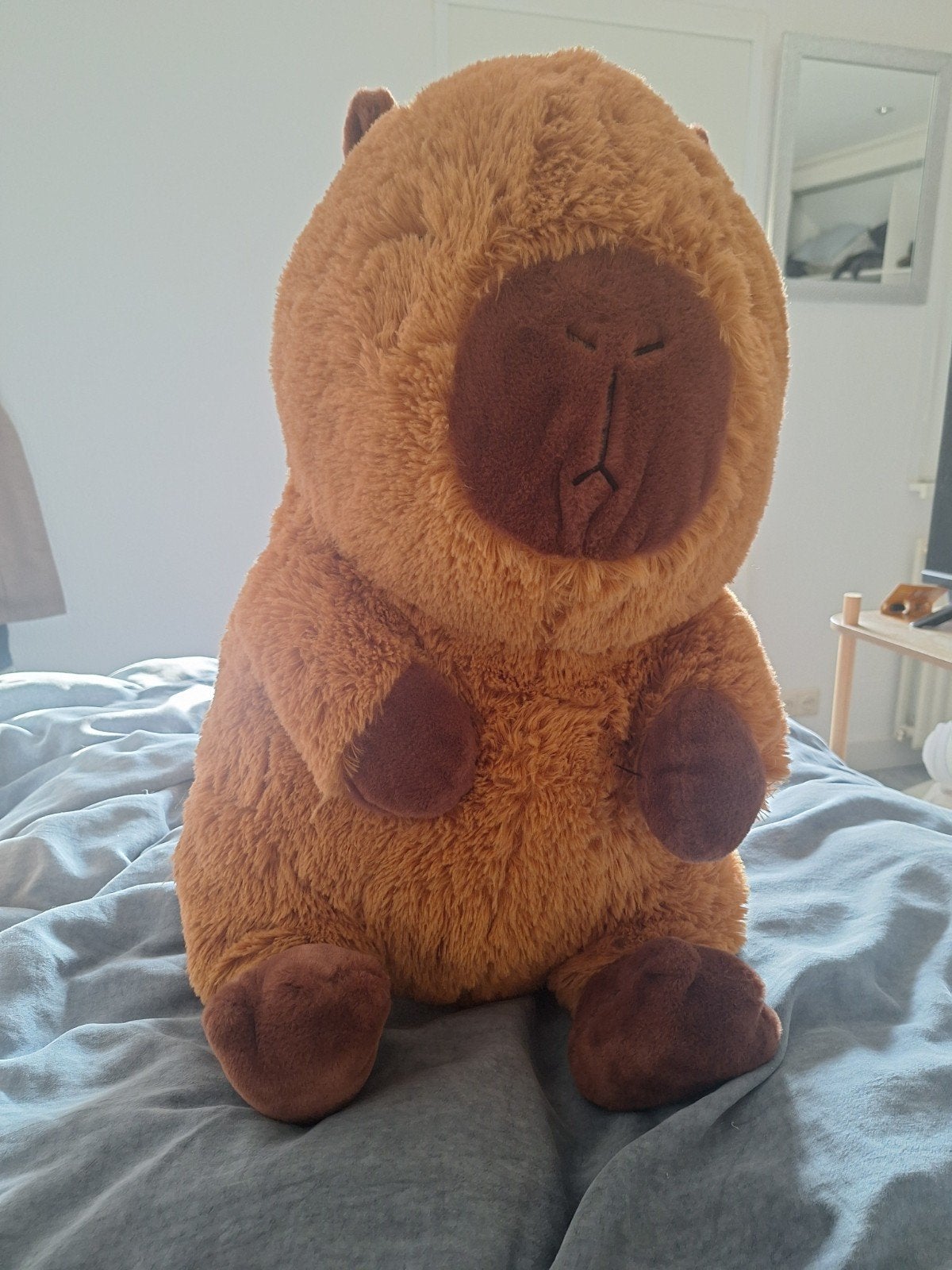 Capibara knuffels en pantoffels maat 36, Ophalen, Gebruikt, Overige typen, Middelgroot (20 tot 80 cm)