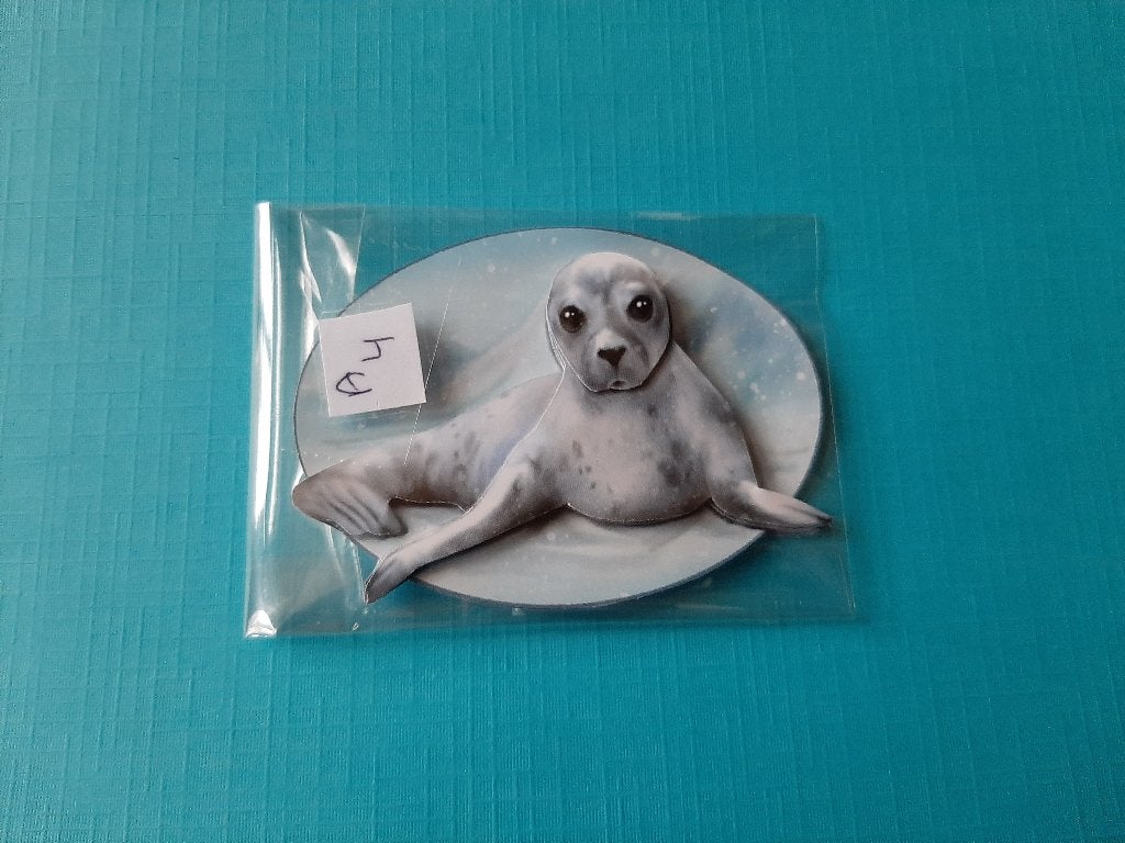 a4 Zeehond, Verzenden, Nieuw, Overige thema's, Overige typen