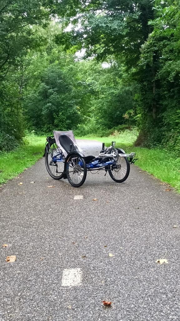 HP gekko ligfiets, Fietsen en Brommers, Fietsen | Ligfietsen, Overige merken, Gebruikt, Onderstuur, Ophalen of Verzenden