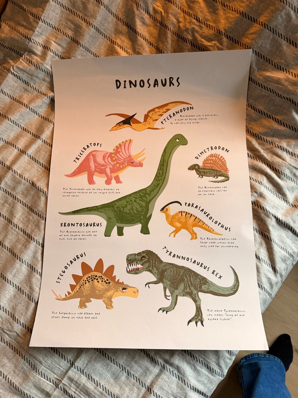 Super leuke H&M Home dinosaurus poster kinderkamer, Ophalen, 50 – 75, Zo goed als nieuw, Foto of Poster