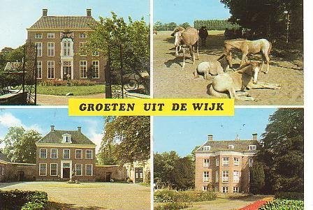 Ansichtkaart 	de Wijk	4-luik	Paarden, Verzenden, 1980 tot heden, Gelopen, Drenthe