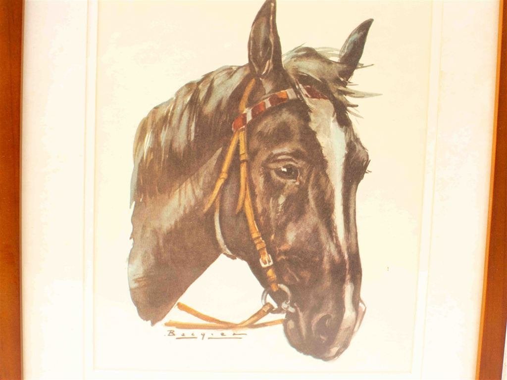 Prent van een Paardenhoofd 3807, Ophalen of Verzenden, Voor 1920, Ongelopen, Vogel