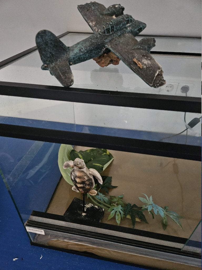terrarium reptiel 150 keer 60 cm zeer goede staat, Dieren en Toebehoren, Ophalen of Verzenden, Gebruikt, Terrarium of Paludarium
