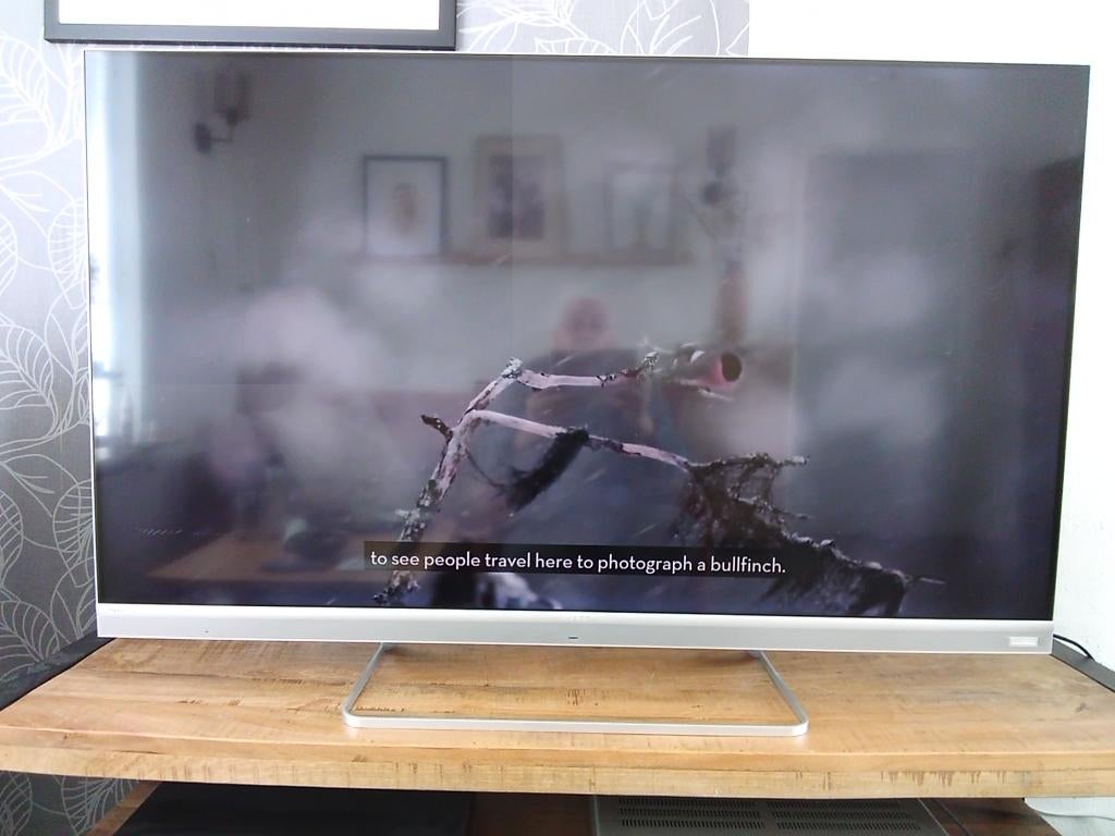 Sharp tv, Ophalen, LED, 50 Hz, Zo goed als nieuw