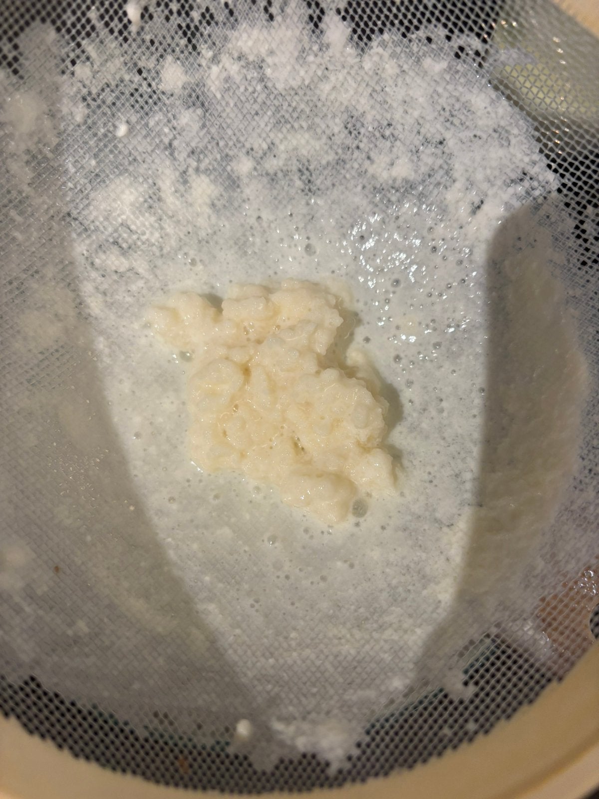 Melk kefir ruim 25 gram - altijd beschikbaar, Diversen, Ophalen