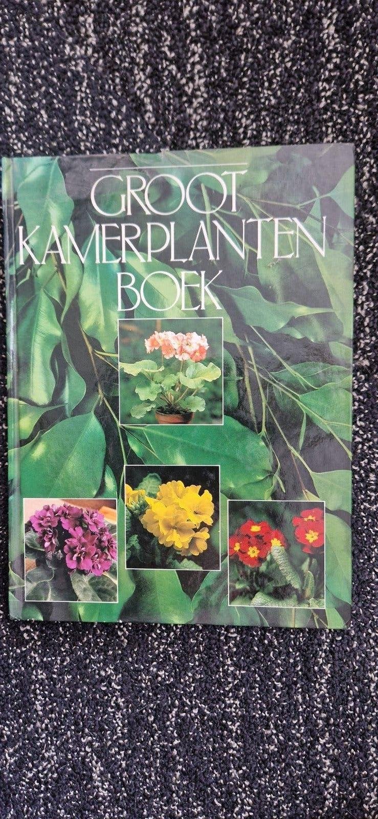 Groot Kamerplantenboek - Alles over kamerplanten, Ophalen of Verzenden, Zo goed als nieuw, Onbekend, Kamerplanten
